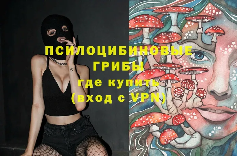 Псилоцибиновые грибы MAGIC MUSHROOMS Биробиджан